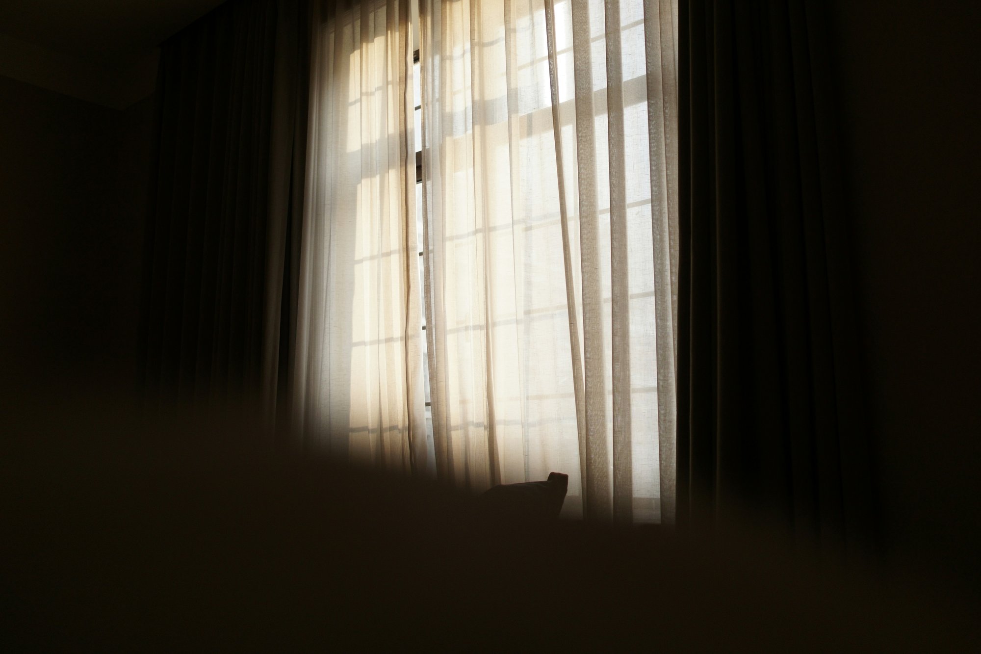 Soft daylight through sheer curtains — when anxiety and depression become one loop, Exxceed Wellness, Hayward CA
