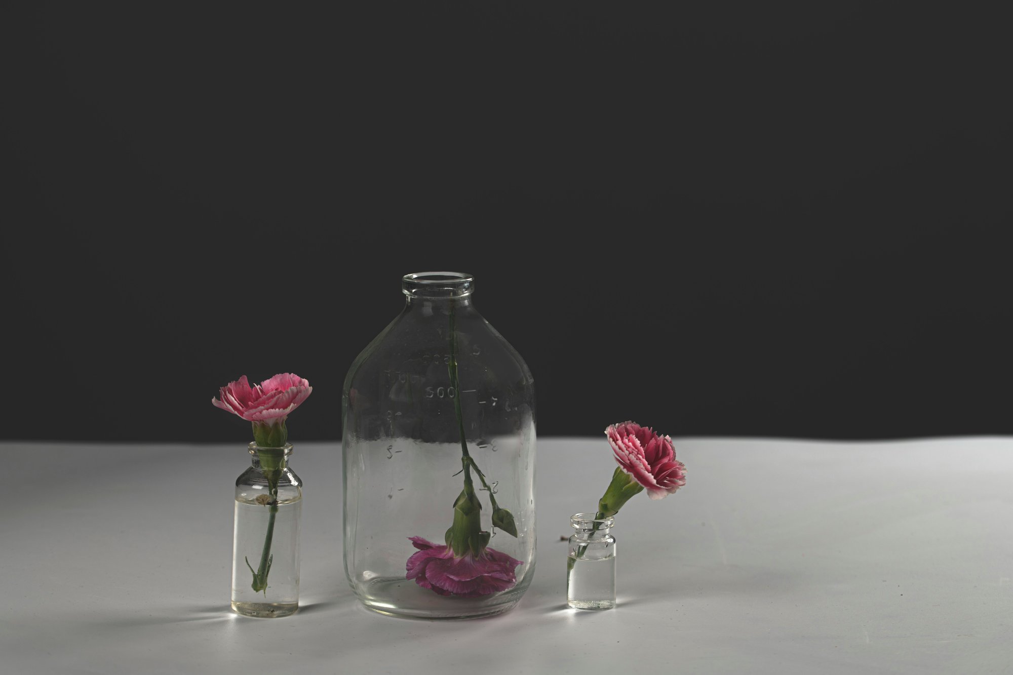 Glass vials holding single carnations — can TMS and SPRAVATO be used together, Exxceed Wellness, Hayward CA