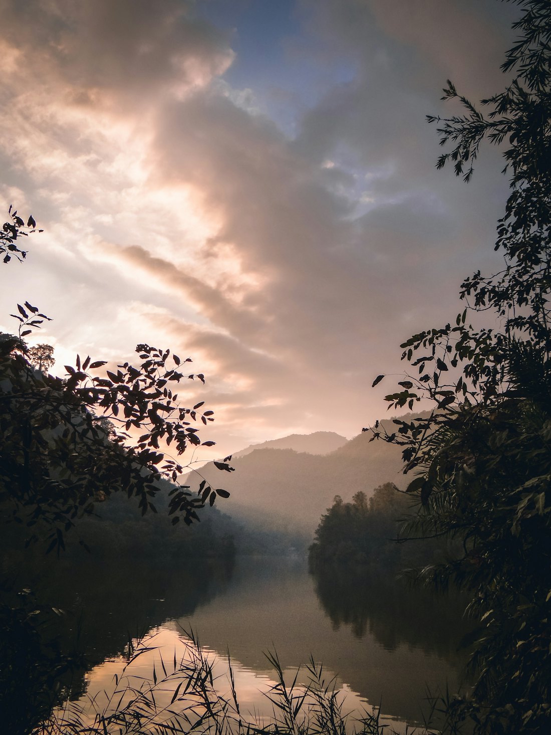 River running past green trees under a cloudy sky