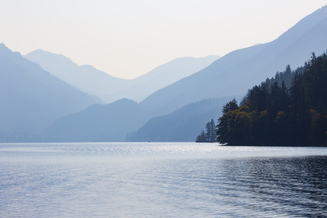 Calm lake with trees and a distant mountain