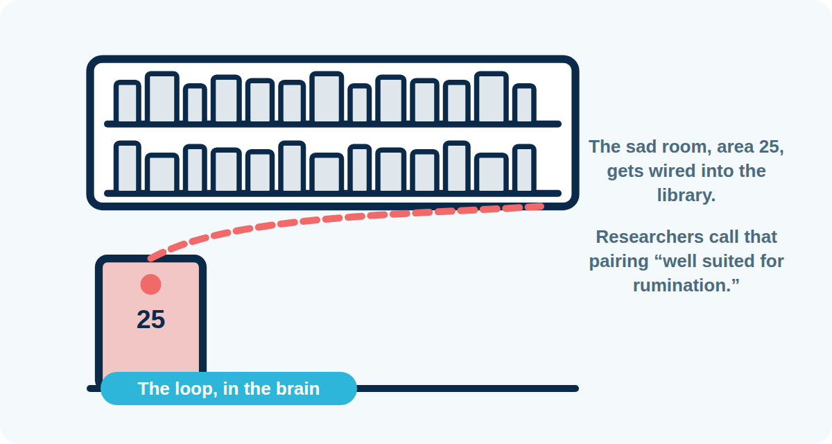 The sad room, area 25, gets wired into the library, a pairing researchers call well suited for rumination